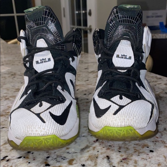 Lebron 12’s - Picture 1 of 5